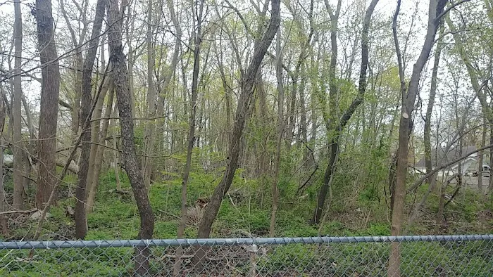 New Dorp Park Picture 6
