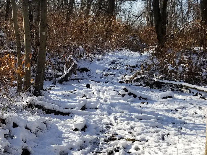 Amundsen Trail Picture 7