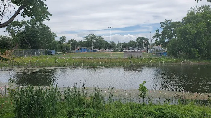Last Chance Pond Park Picture 1