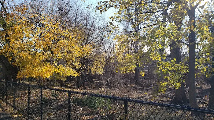Last Chance Pond Park Picture 3