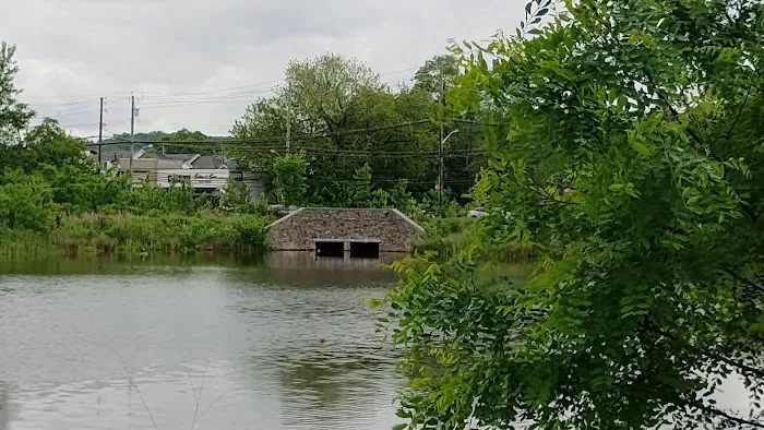 Mid-Island Bluebelt- New Creek Picture 2