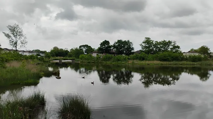 Mid-Island Bluebelt- New Creek Picture 4