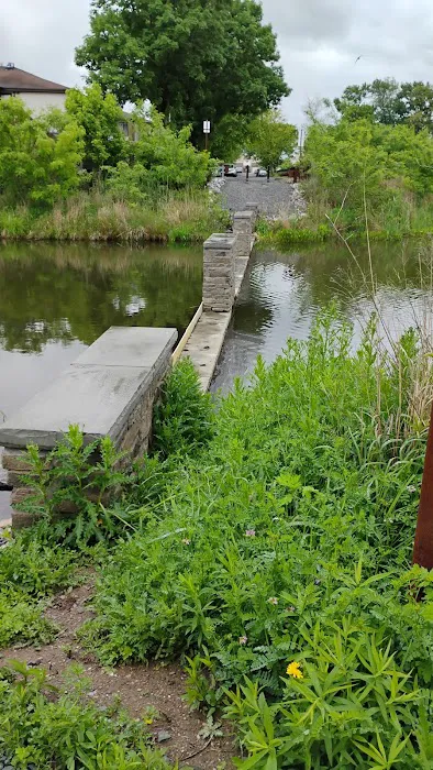 Mid-Island Bluebelt- New Creek Picture 5
