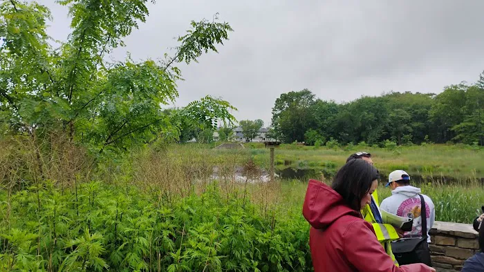 Mid-Island Bluebelt- New Creek Picture 1