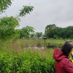 Mid-Island Bluebelt- New Creek