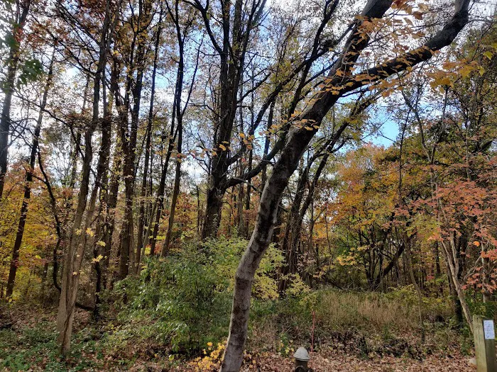 New Creek Bluebelt Picture 3