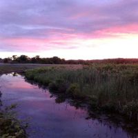 Slater Creek ico