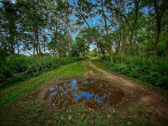 South Beach Wetlands Picture 10