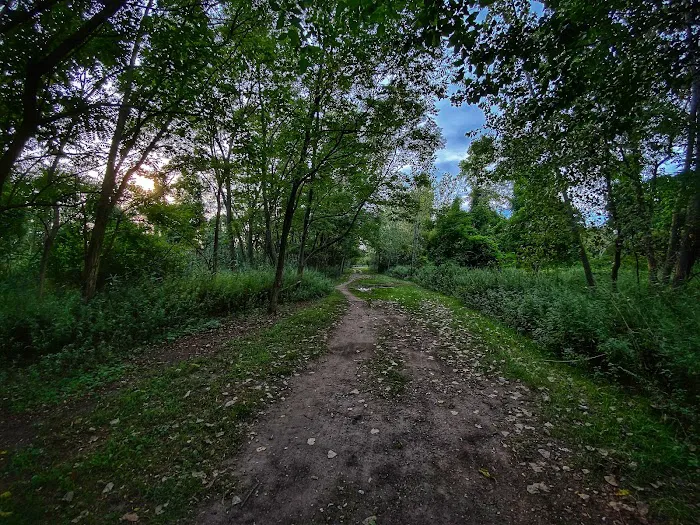 South Beach Wetlands Picture 9