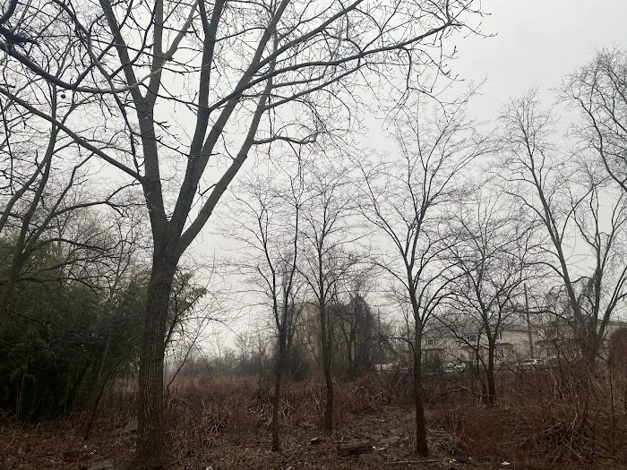 South Beach Wetlands Picture 2