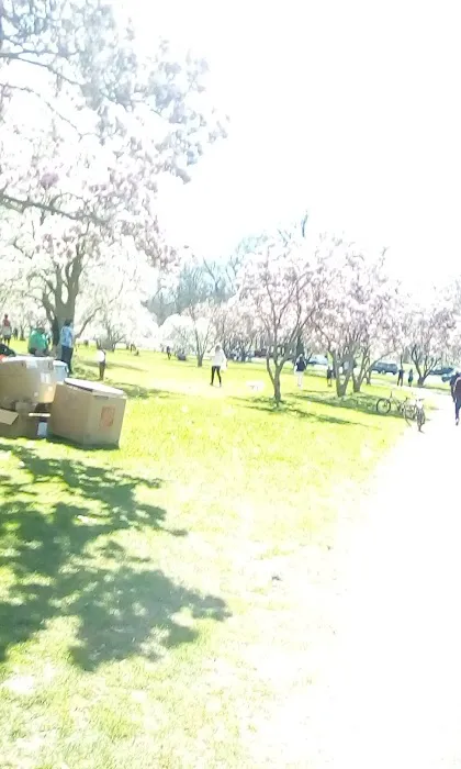 Peach Orchard Park Picture 1