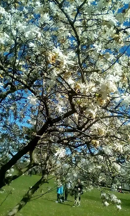 Peach Orchard Park Picture 4