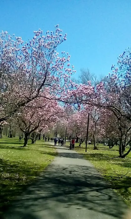 Peach Orchard Park Picture 8