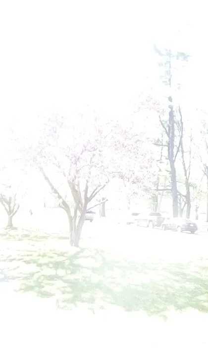 Peach Orchard Park Picture 2
