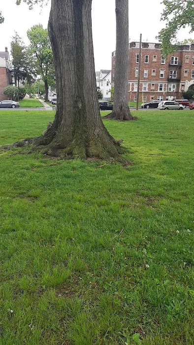 Carteret Park Picture 3