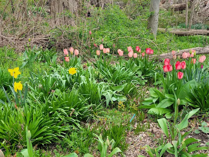 Fort Hill Park Picture 9