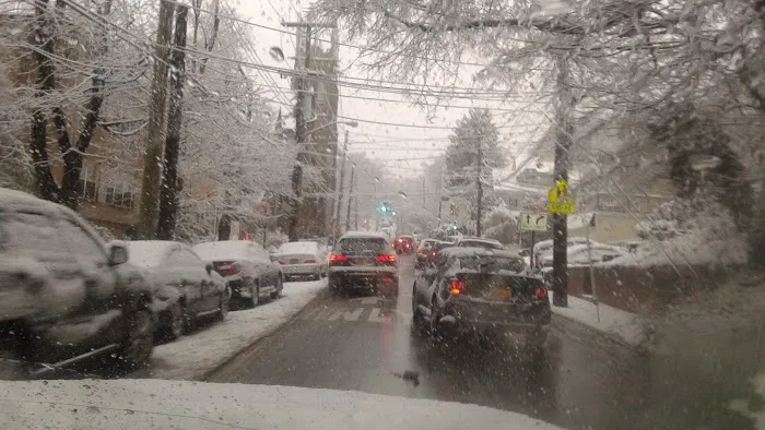 Tompkinsville Park Picture 2