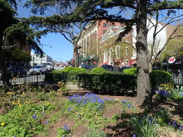 Baker Square Picture 8