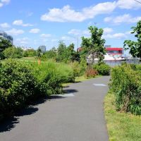 Stapleton Waterfront Park ico