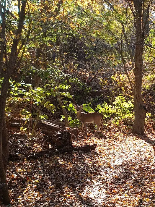 Amundsen Circle Picture 8