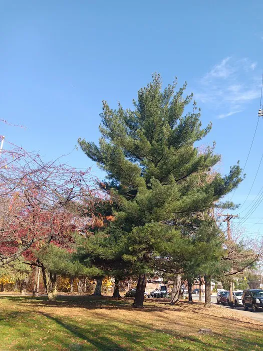 Amundsen Circle Picture 2