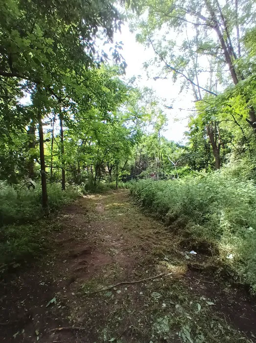 Amundsen Circle Picture 7