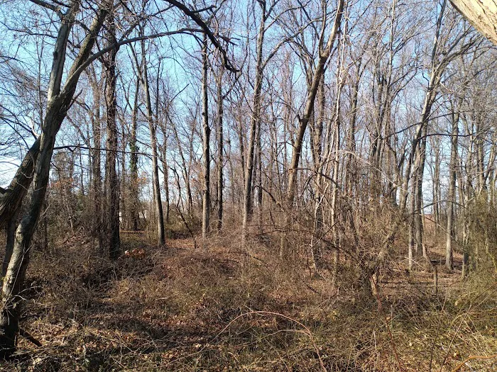 Amundsen Circle Picture 9