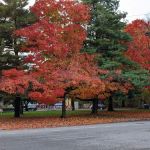 Amundsen Circle