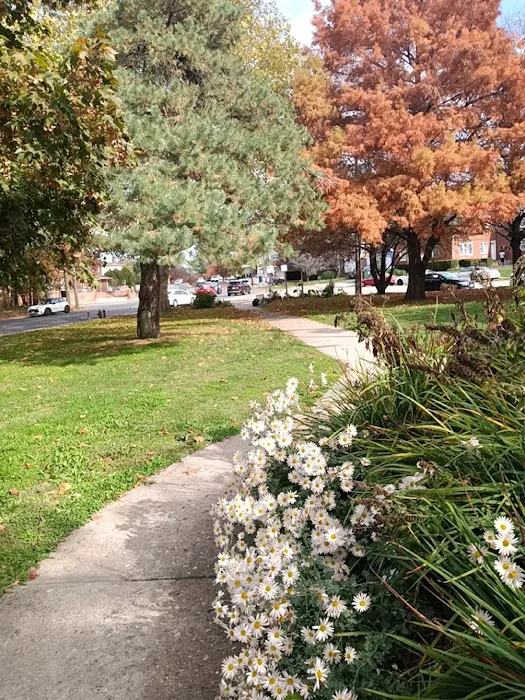 Amundsen Circle Picture 3