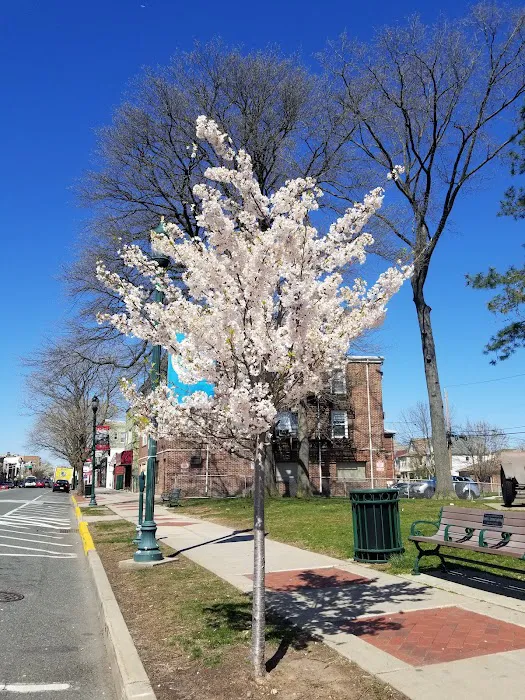 Memorial Park Picture 6