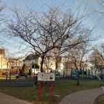 Windsor/Grove Playground