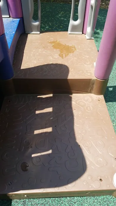 Windsor/Grove Playground Picture 10