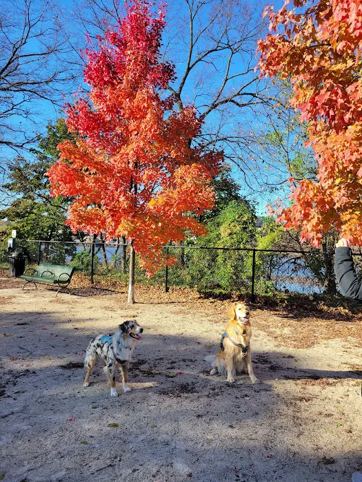 Kearny Dog Park Picture 9
