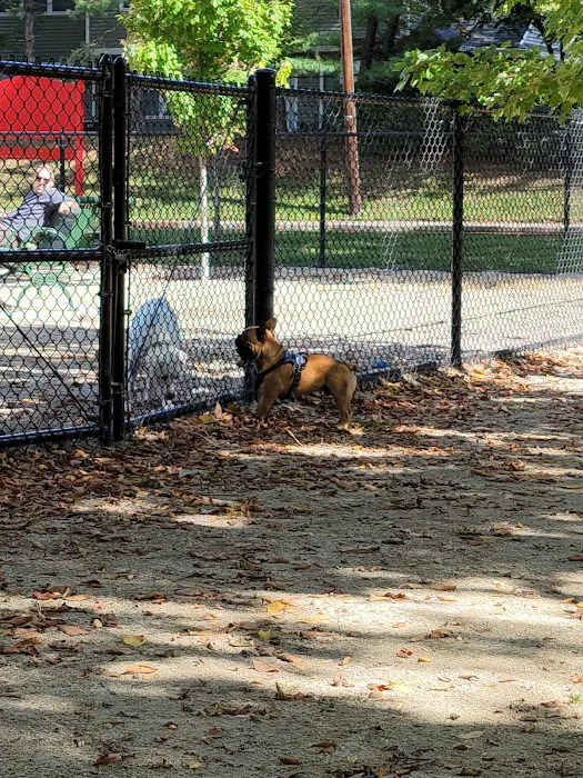 Kearny Dog Park Picture 7