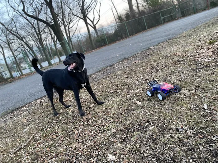 Kearny Dog Park Picture 6