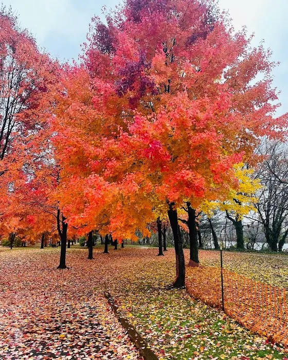 Kearny Riverbank Park Picture 4