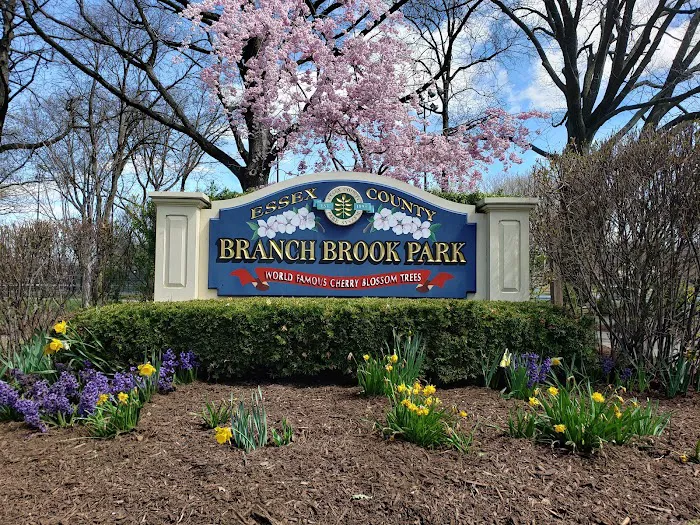 Cherry Blossom Welcome Center Picture 9