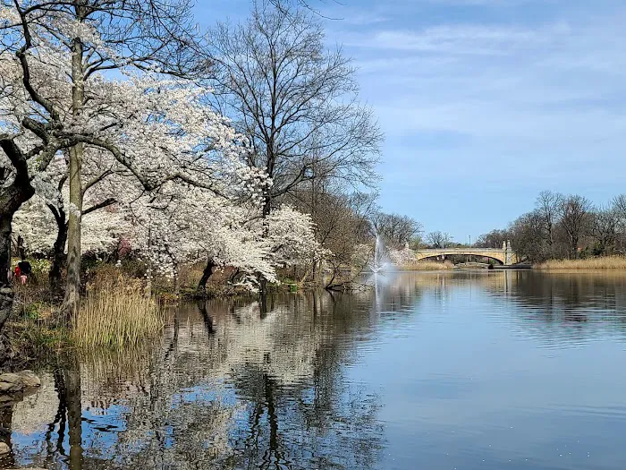 Cherry Blossom Welcome Center Picture 6