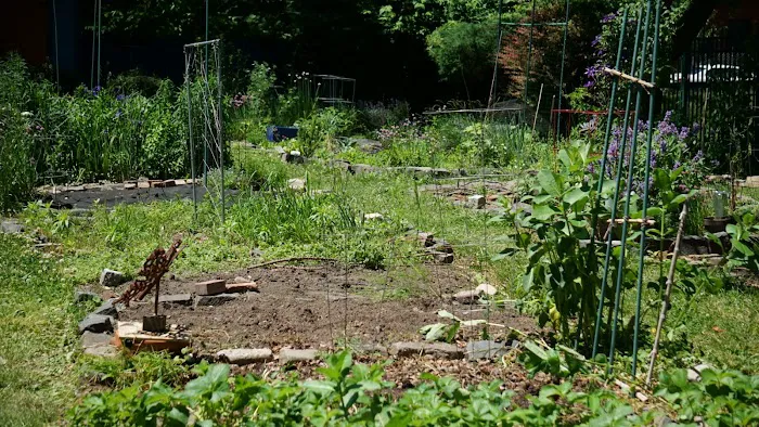 Riverview Community Garden Picture 4