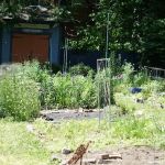 Riverview Community Garden