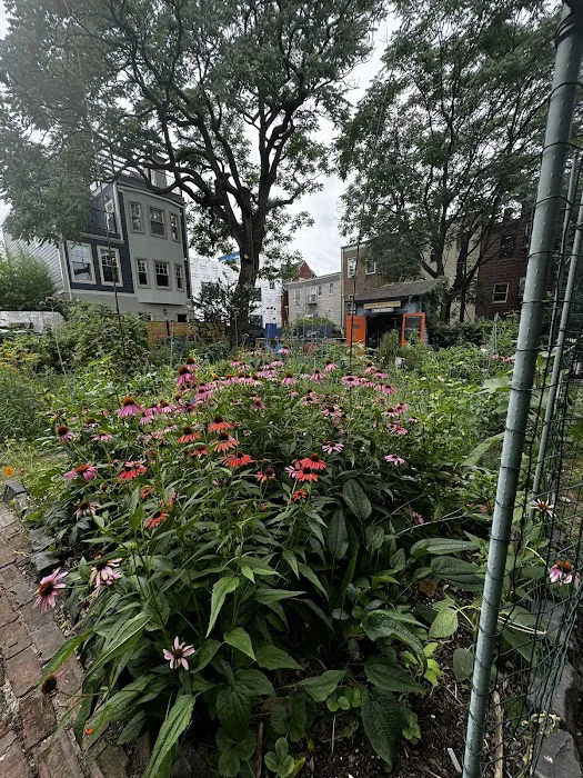 Riverview Community Garden Picture 8