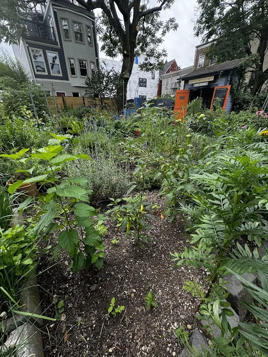 Riverview Community Garden Picture 9