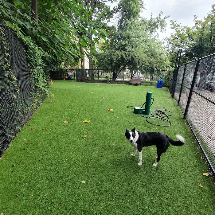 Ogden's End Dog Park Picture 8