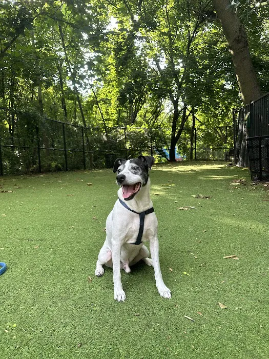 Ogden's End Dog Park Picture 2