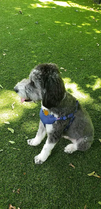 Ogden's End Dog Park Picture 7