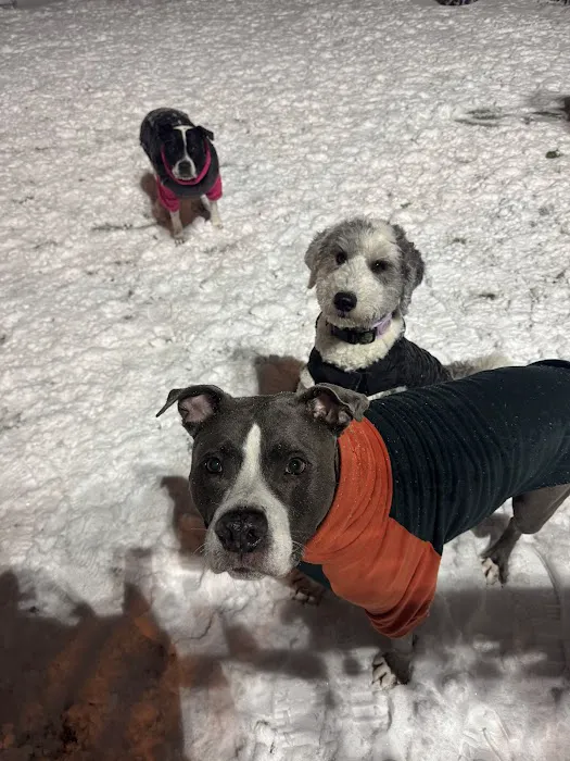 Ogden's End Dog Park Picture 1