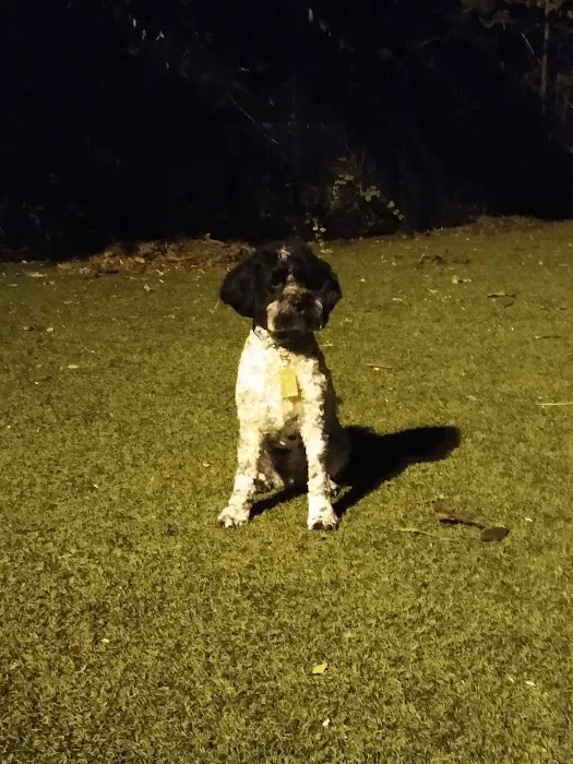 Ogden's End Dog Park Picture 3