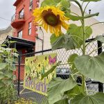 Hope Garden Jersey City