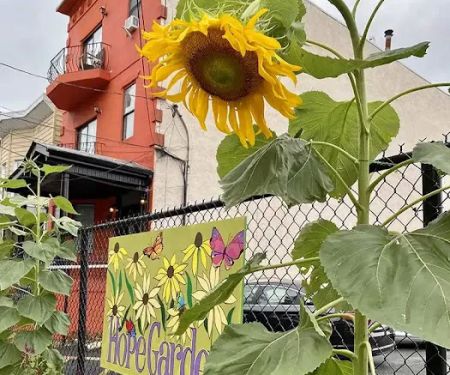 Hope Garden Jersey City