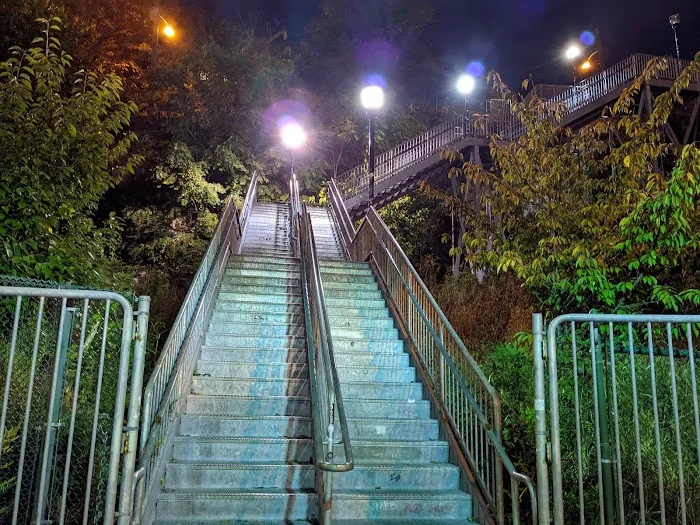 100 Steps Picture 3